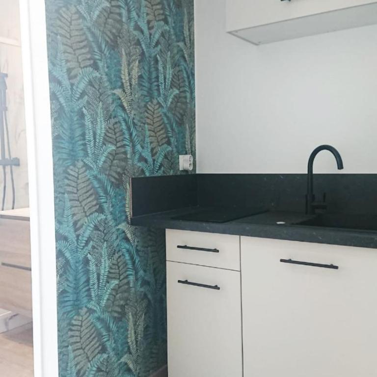 Spa et sauna , studio rénové à 5 min du centre historique - One-Bedroom Apartment - 13