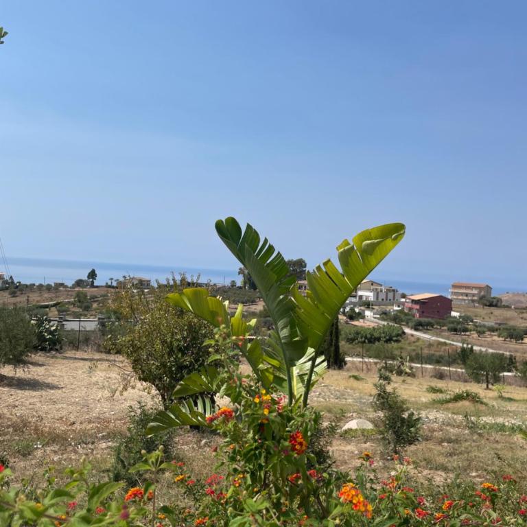 Villa Il Gelso Bianco - Casa Vacanze - 19