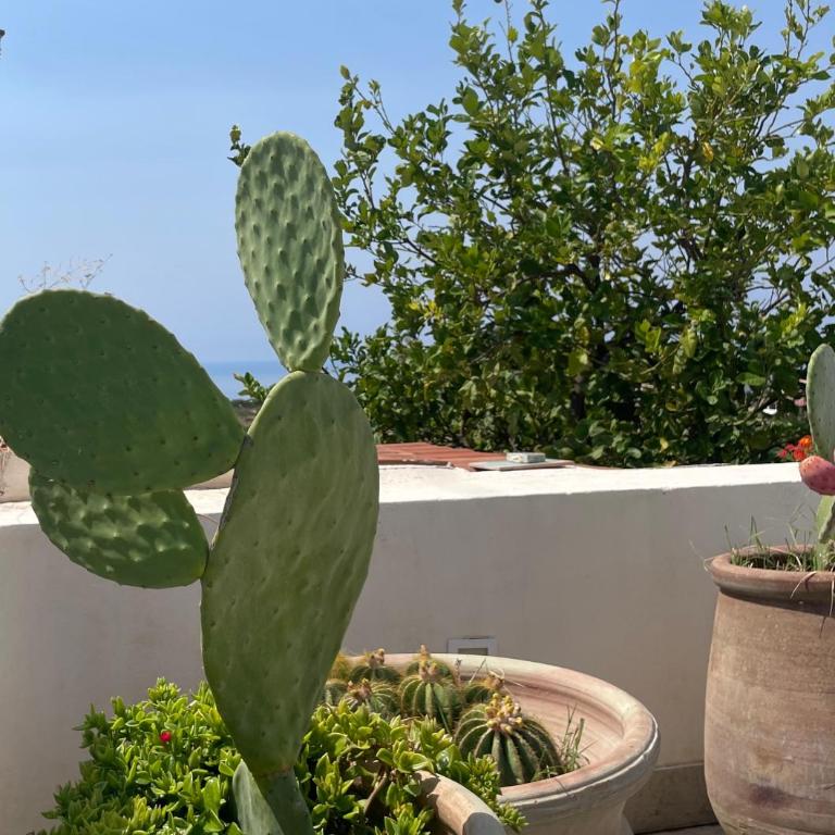 Villa Il Gelso Bianco - Casa Vacanze - 17