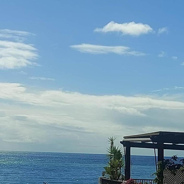 APARTAMENTO JUNTO AL MAR Con PARKING - One-Bedroom Apartment - 4