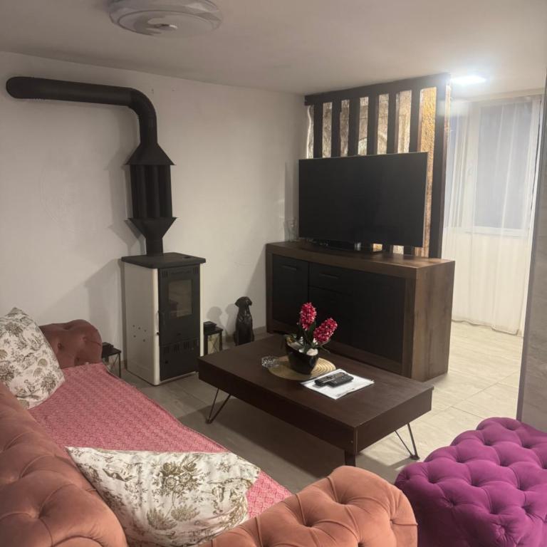 Dunavska lepotica 2 - Apartman sa Pogledom na Bazen - 6