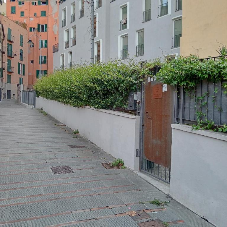 FICO MAGICO - Appartamento con giardino, Genova Centro Storico, Acquario - Appartamento con 1 Camera da Letto - 28