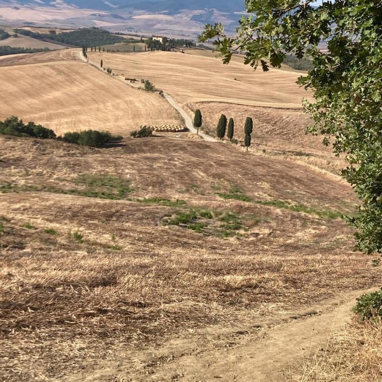 Il Tramonto di Pienza - Casa con 2 Camere da Letto - 1