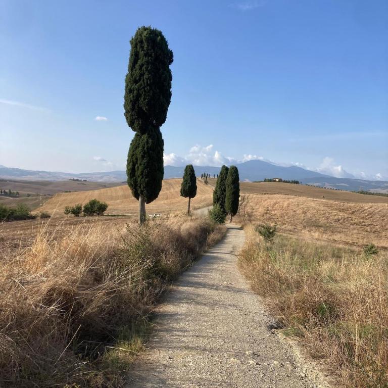 Il Tramonto di Pienza - Casa con 2 Camere da Letto - 5