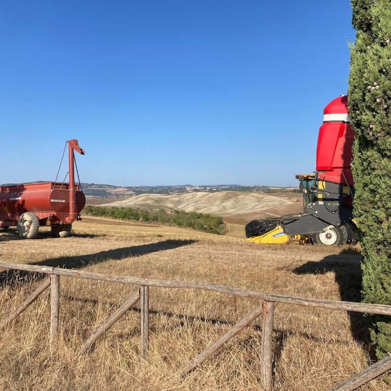 Il Tramonto di Pienza - Casa con 2 Camere da Letto - 4