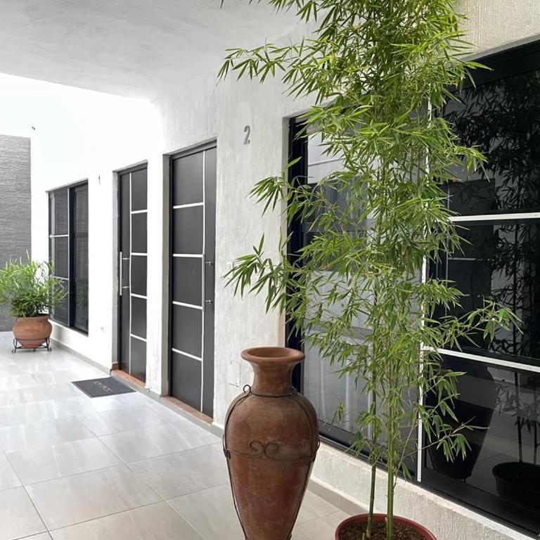 Moderno Apartamento - One-Bedroom Apartment - 15