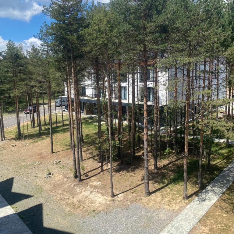 Apartman Zeleni vrhovi - One-Bedroom Apartment - 29