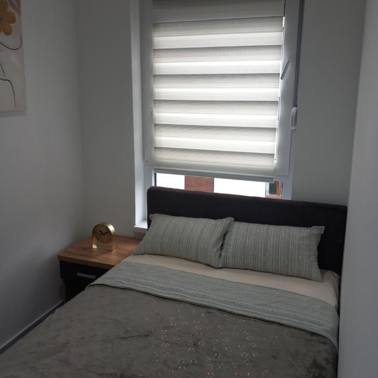 Apartman Anja Divcibare - Apartman sa 1 Spavaćom Sobom - 12