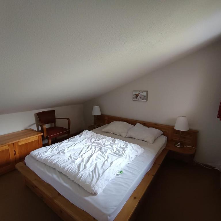 Confortable appartement 3 pièces, skis aux pieds, animaux acceptés - FR-1-445-4 - Apartamento (8 adultos) - 7