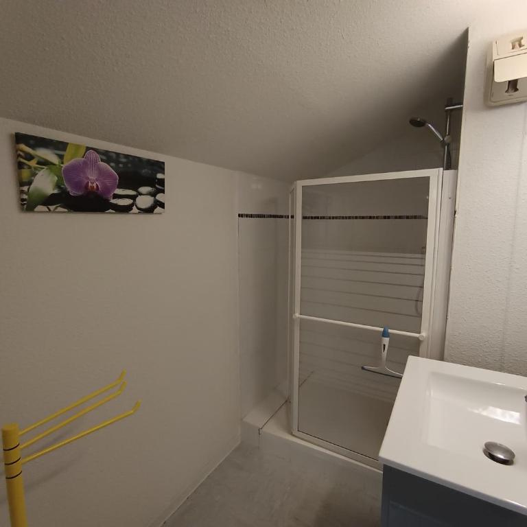 Confortable appartement 3 pièces, skis aux pieds, animaux acceptés - FR-1-445-4 - Apartamento (8 adultos) - 8