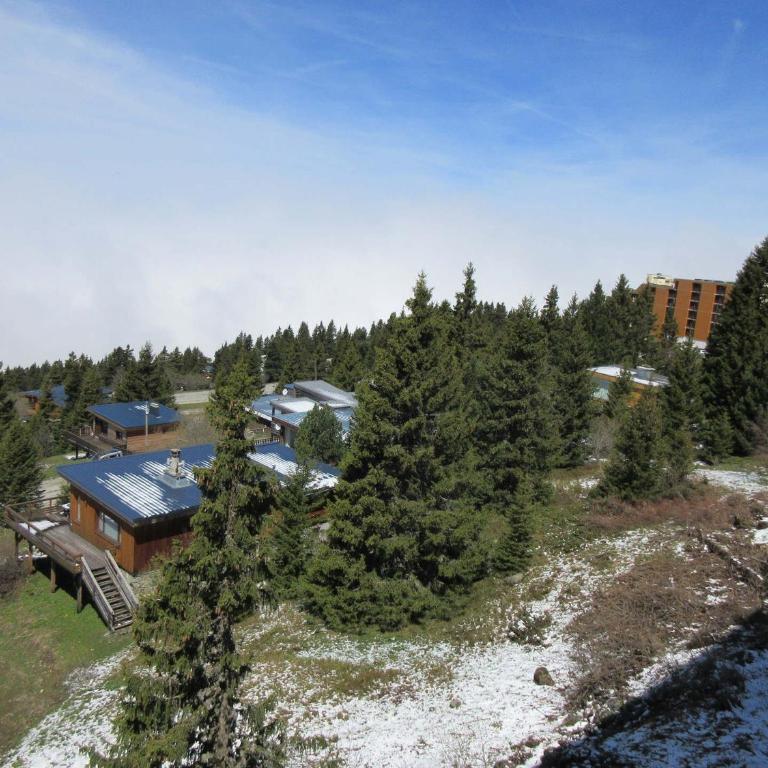 Appartement Chamrousse pied des pistes, animaux admis - FR-1-340-3 - Appartamento (4 Adulti) - 12