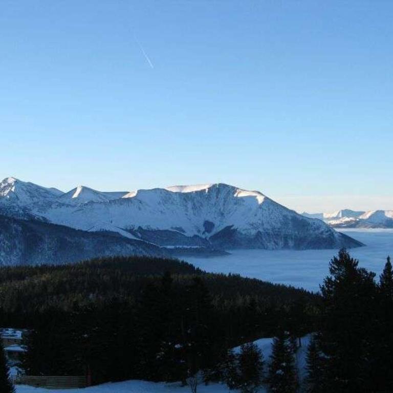 Appartement Chamrousse pied des pistes, animaux admis - FR-1-340-3 - Appartamento (4 Adulti) - 14