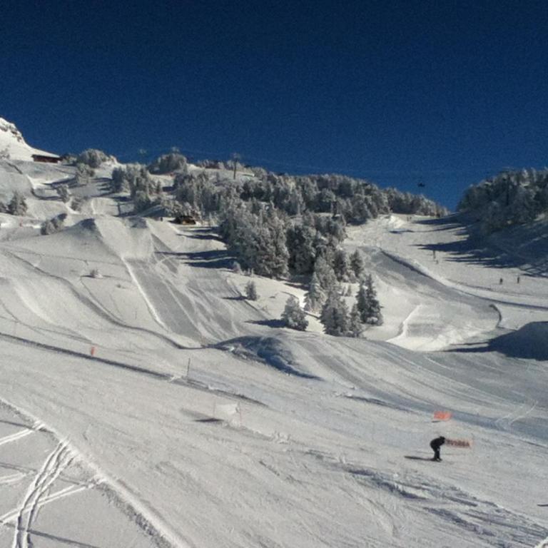 Appartement ski 2 pièces 4 pers, balcon, proche pistes - FR-1-340-39 - Appartement 1 Chambre - 22
