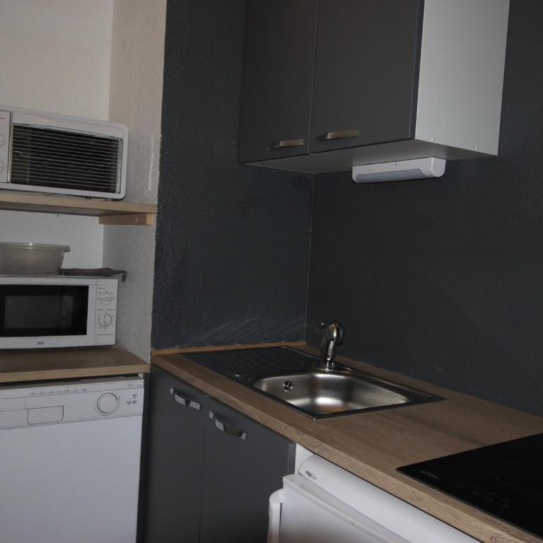 Studio cabine près des pistes, Sud, balcon, animaux acceptés - FR-1-340-108 - Studio - 6