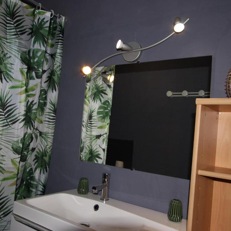 Studio cabine près des pistes, Sud, balcon, animaux acceptés - FR-1-340-108 - Studio - 8