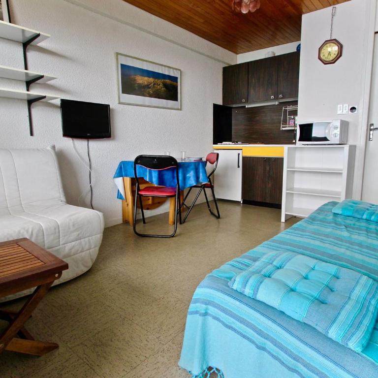 Studio 3 places au pied des pistes, animaux acceptés - FR-1-340-92 - Studio - 1