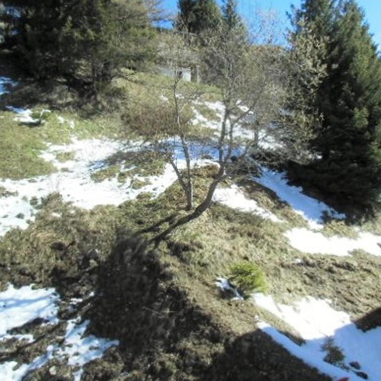 Studio cosy pour 3 personnes près des pistes et commerces - FR-1-340-31 - Studio - 12