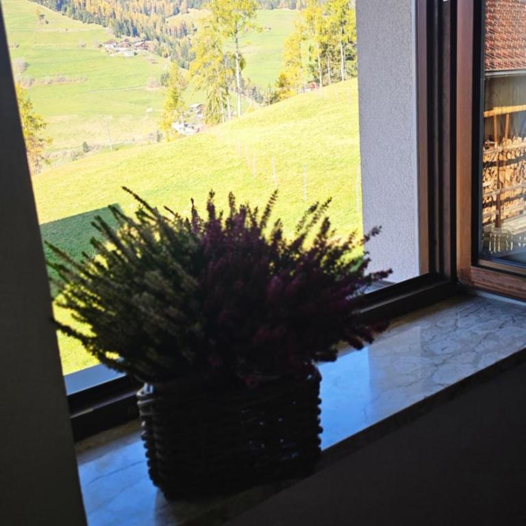 Panorama Dolomiti - Appartamento con 2 Camere da Letto - 4