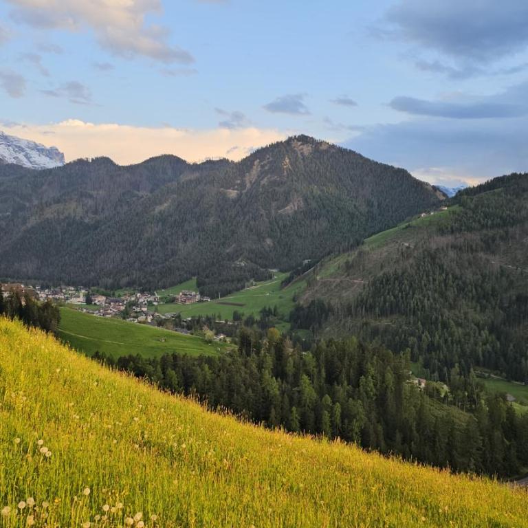Panorama Dolomiti - Appartamento con 1 Camera da Letto - 27