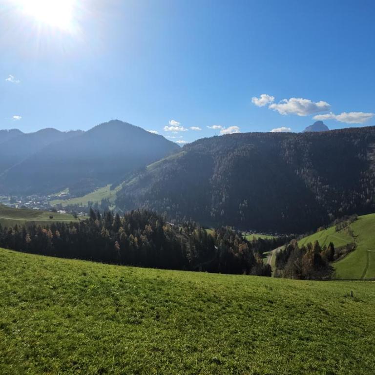 Panorama Dolomiti - Appartamento con 1 Camera da Letto - 36