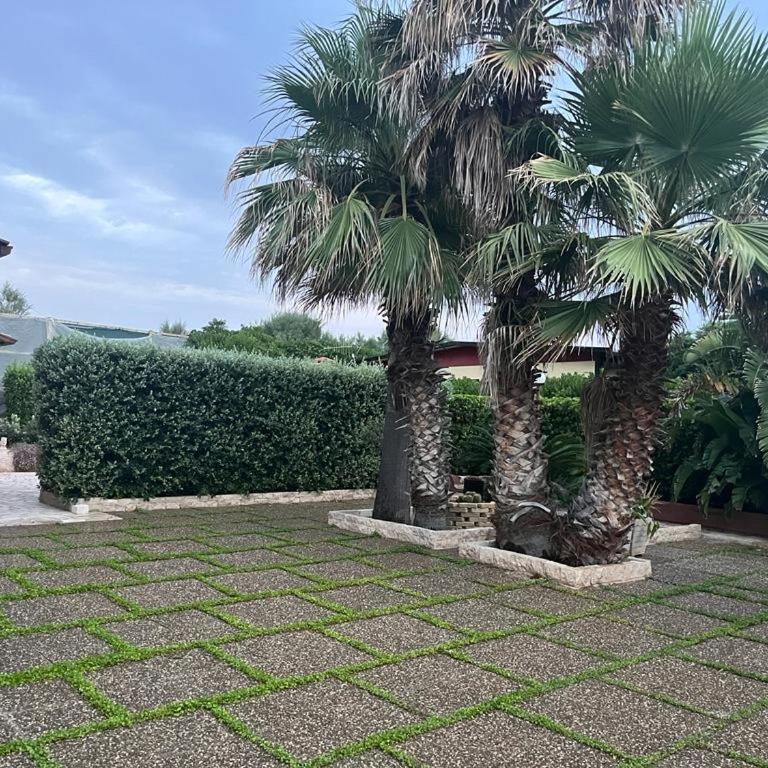 Una Civetta al Mare - Villa con 2 Camere da Letto - 6