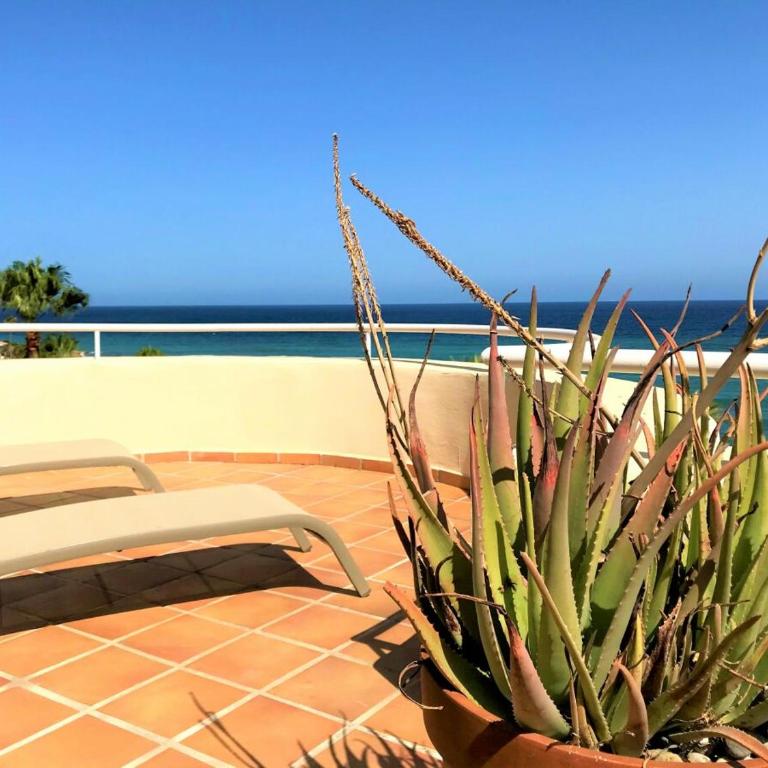 Holiday apartment Penthouse Bermuda Beach 9 - Apartamento de 3 dormitorios - 15