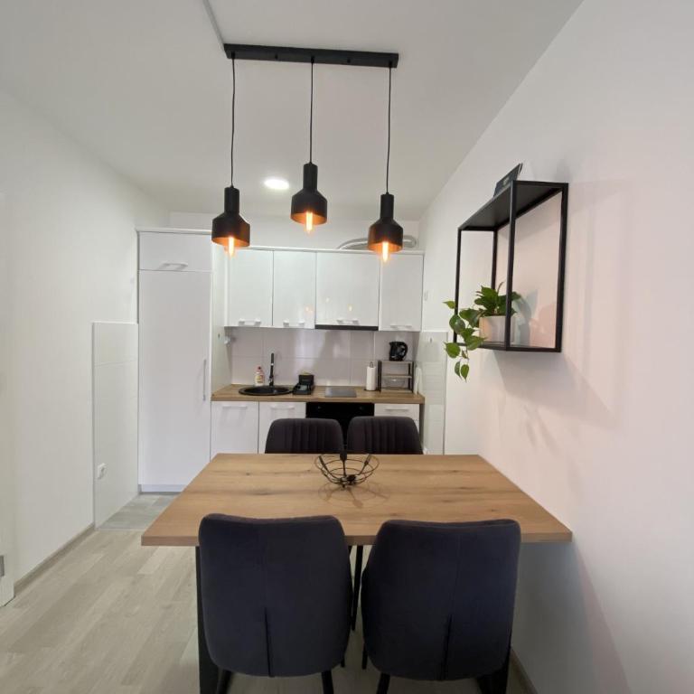 Apartman HELIOS Banja Koviljača - Apartman sa 1 Spavaćom Sobom - 6