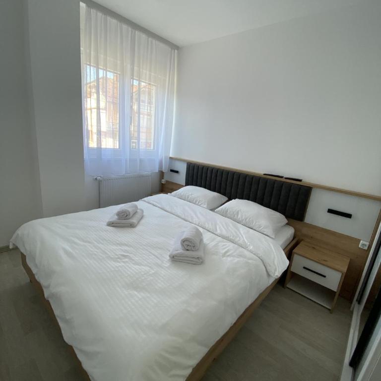 Apartman HELIOS Banja Koviljača - Apartman sa 1 Spavaćom Sobom - 13