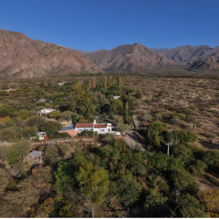 El Pedregal - Casa de 2 dormitorios - 47