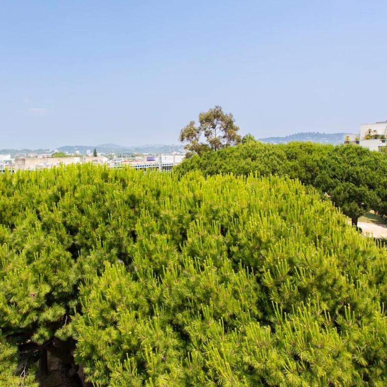 C3 Staywizus - Studio Facing Sea and Beach - Wifi, AC, terrace - Appartement 1 Chambre - 41