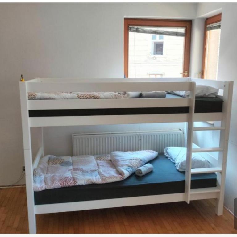 Exotic Nature Hostel - Krevet u Osmokrevetnoj Mešovitoj Spavaonici - 2