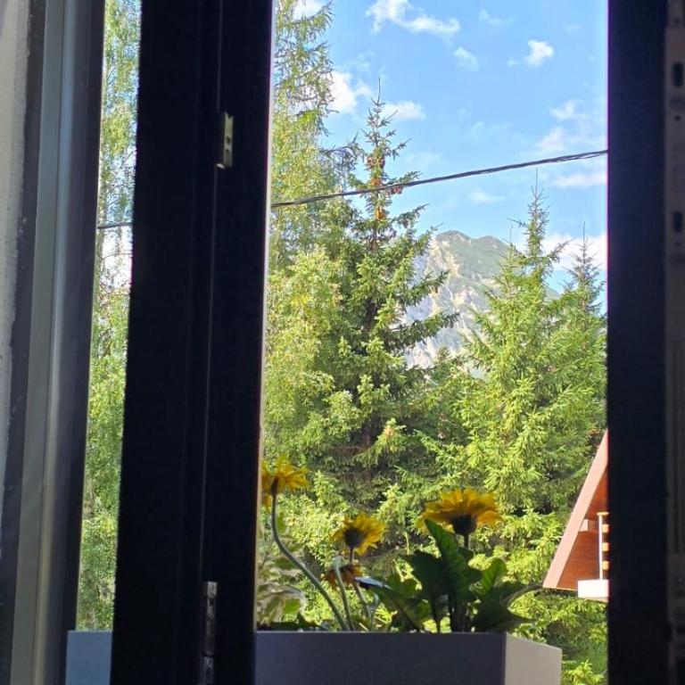 Vila Jezero 1 - Apartman sa 1 Spavaćom Sobom - 34