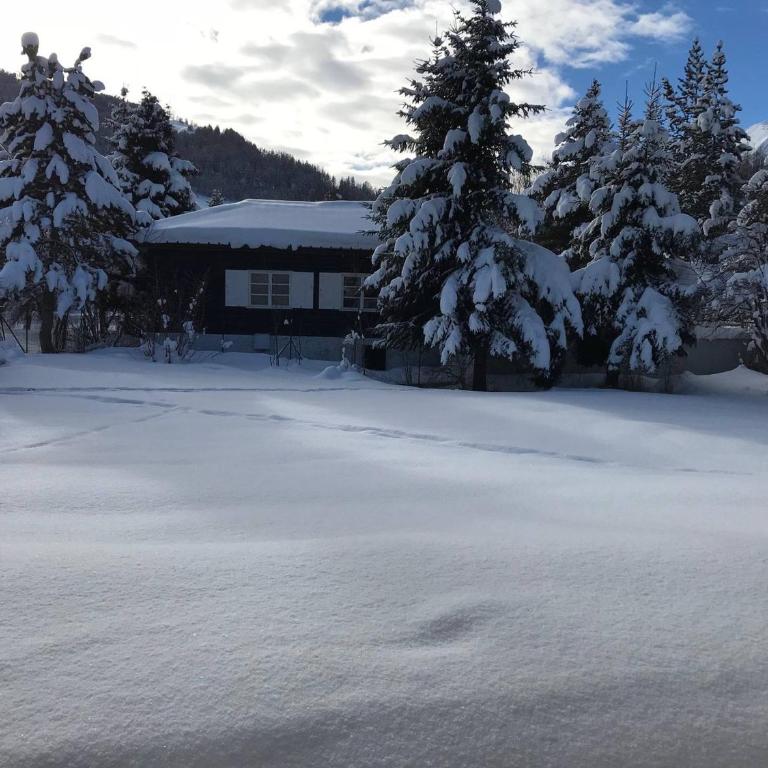 Chalet duplex 10 pers., sauna, animaux admis, parking, Valloire - FR-1-263-496 - Chalet (10 Adultes) - 15