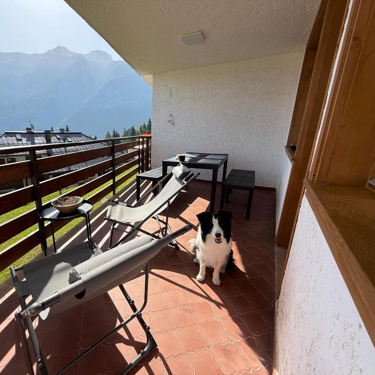 Trilocale a Folgarida 1400mt - Two-Bedroom Apartment - 13