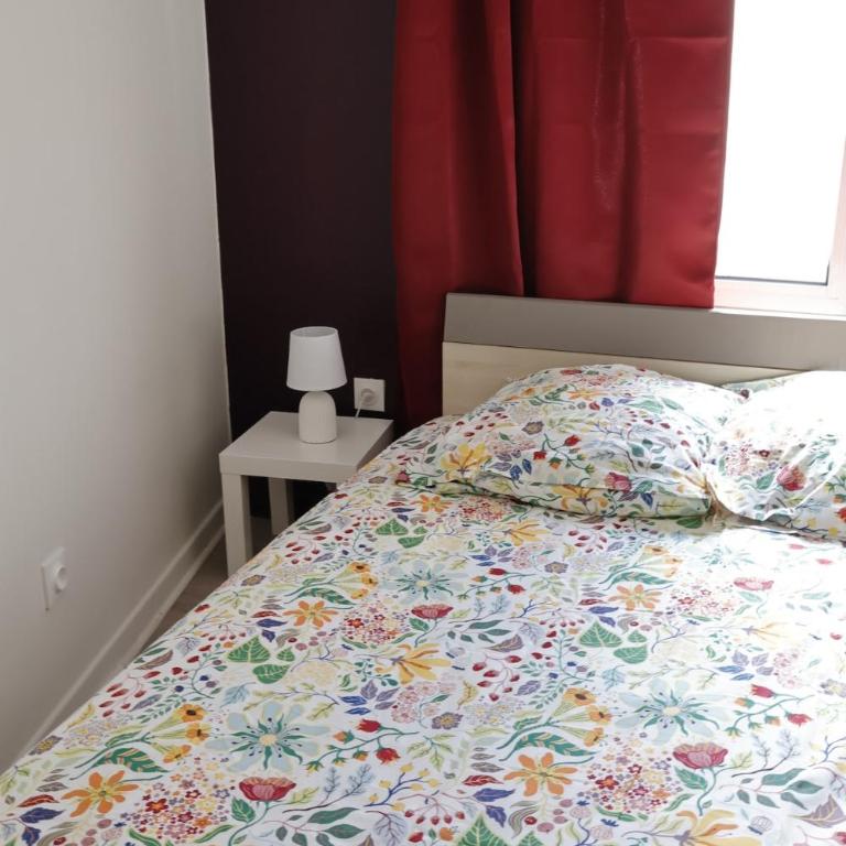 Cocon rénové proche île barbe - Appartement 1 Chambre - 2