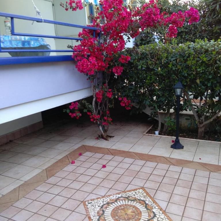 PM 108 Viale Europa - Apartment mit 2 Schlafzimmern - 36