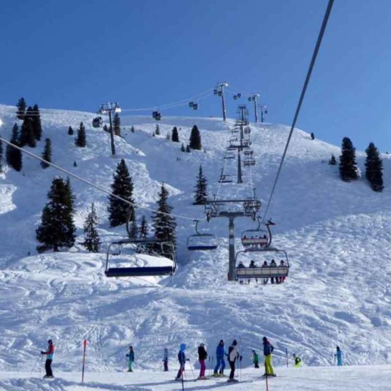 Chalet in Wald near Zillertal Arena - Superior Chalet - 32
