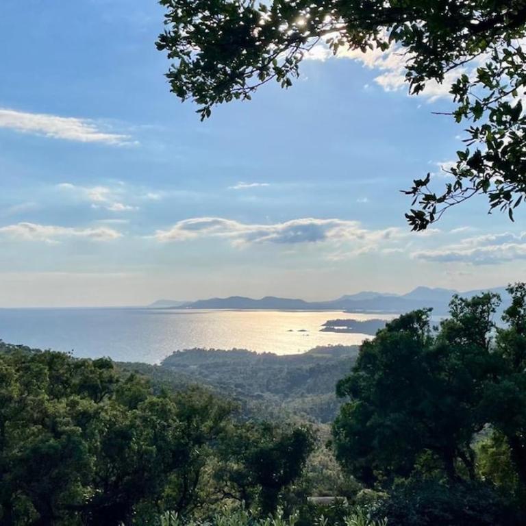 House in Bormes-les-Mimosas, Cap Benat - Villa 1 Chambre - 21