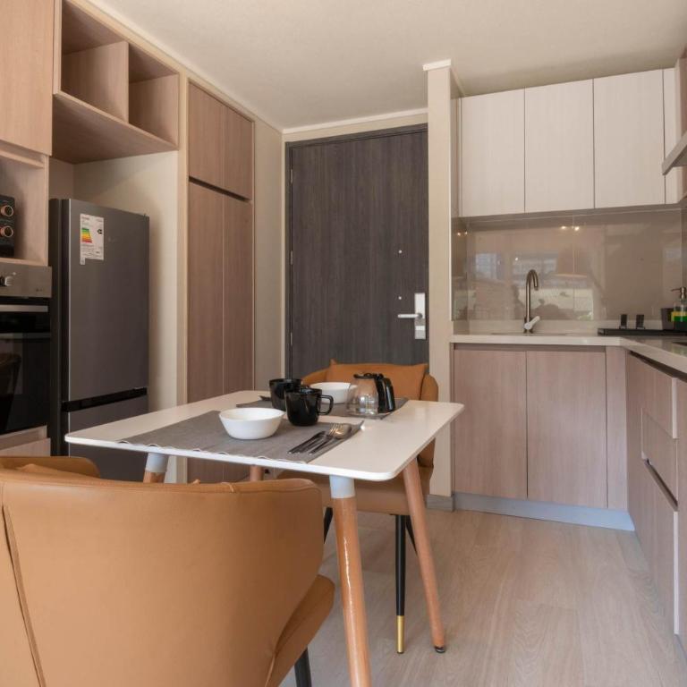 HOM I Unico Dpto 1D1B 3PAX Santiago Centro - Apartamento - 9