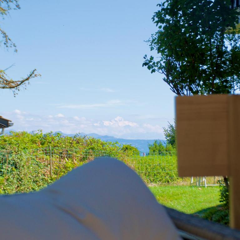 Studio Apartment in Swiss Chalet - Garden views of Mont Blanc - Deluxe Studio - 23