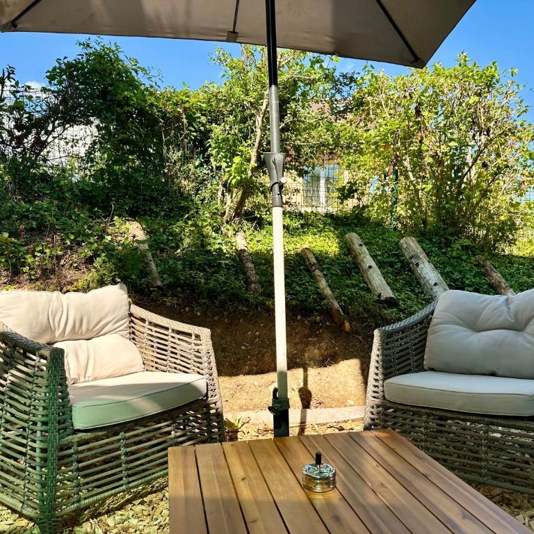Studio Apartment in Swiss Chalet - Garden views of Mont Blanc - Deluxe Studio - 25