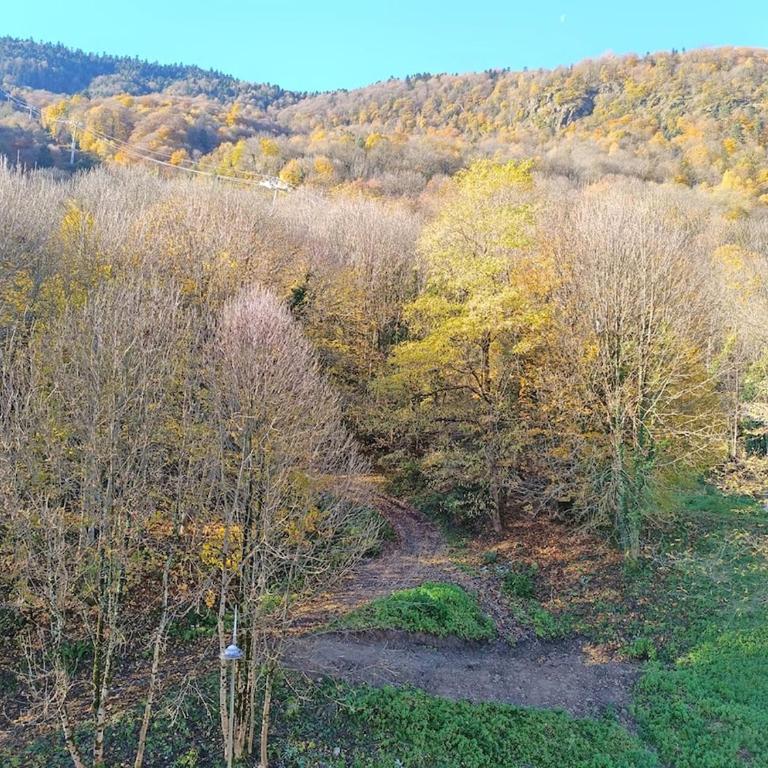 La bulle de Luchon, proche télécabine, 4 personnes - Apartment mit 2 Schlafzimmern - 17