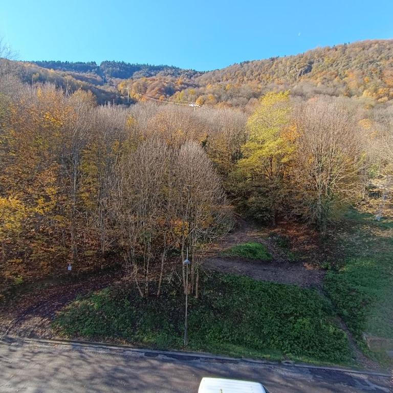 La bulle de Luchon, proche télécabine, 4 personnes - Apartment mit 2 Schlafzimmern - 18