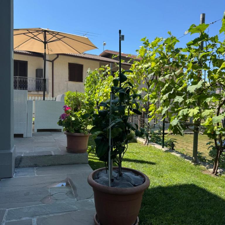 Relaxing Home - Appartamento con Vista Giardino - 22