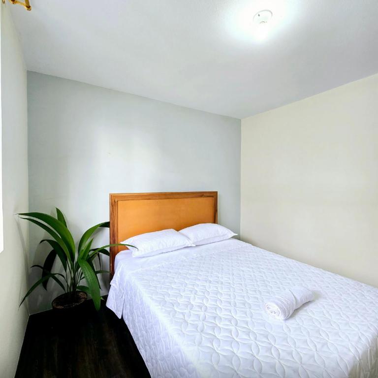Apartamento en Armenia - Edificio Ambar - Con Piscina - By Molca Travel - Apartment - 13