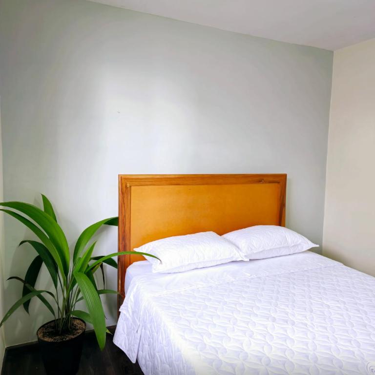 Apartamento en Armenia - Edificio Ambar - Con Piscina - By Molca Travel - Apartment - 14