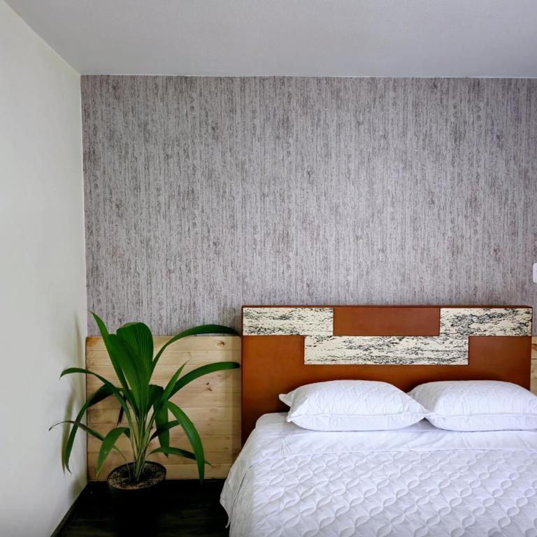 Apartamento en Armenia - Edificio Ambar - Con Piscina - By Molca Travel - Apartment - 9