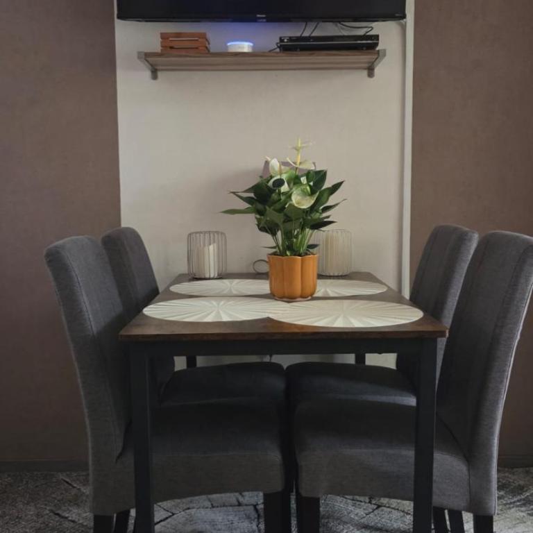 Nürnberg Apartment - Studio-Apartment - 4