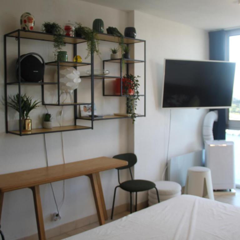 Le Pavois d'Or, studio rénové avec goût, Superbe Vue, Proximité Gare et Centre, Climatisation - One-Bedroom Apartment - 13