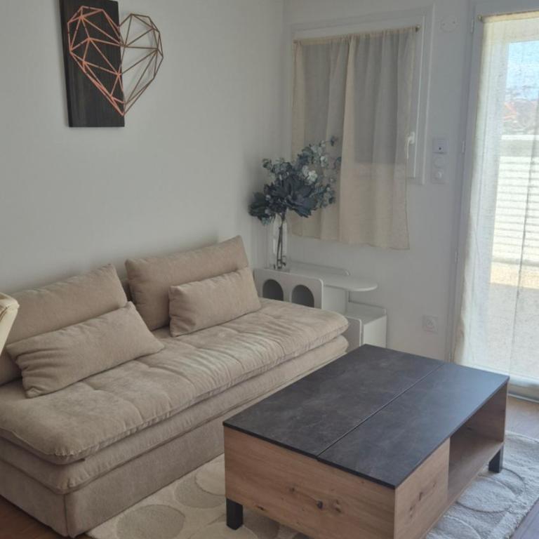 Studio la Tortue - Studio - 2